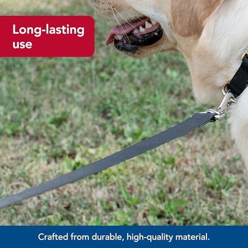 Coastal Pet Single-Ply Dog Leash - Sturdy Pet Leash - Comfortable & Stylish - Resists Fraying - Vibrant & Fade-Resistant Color - Black, 3/8" x 6' - Image 3