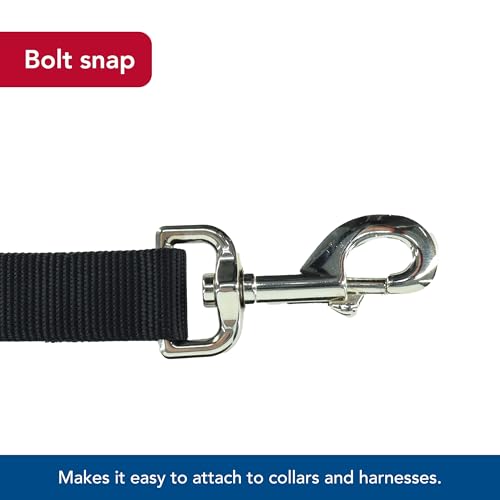 Coastal Pet Single-Ply Dog Leash - Sturdy Pet Leash - Comfortable & Stylish - Resists Fraying - Vibrant & Fade-Resistant Color - Black, 3/8" x 6' - Image 5