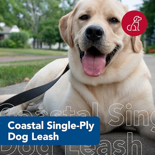 Coastal Pet Single-Ply Dog Leash - Sturdy Pet Leash - Comfortable & Stylish - Resists Fraying - Vibrant & Fade-Resistant Color - Black, 3/8" x 6' - Image 2