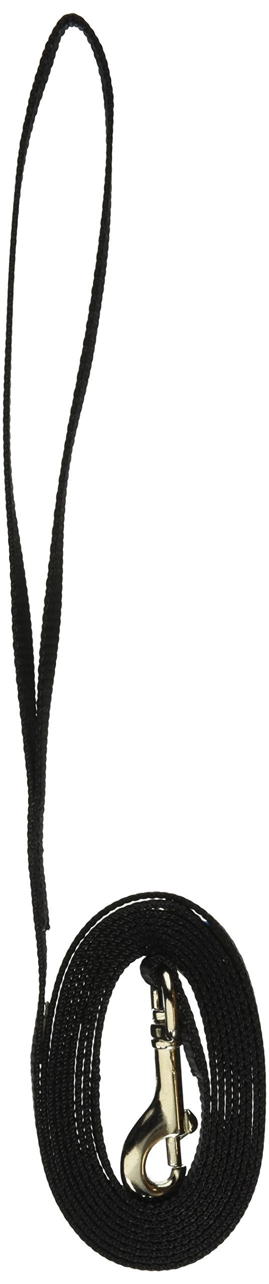 Coastal Pet Single-Ply Dog Leash - Sturdy Pet Leash - Comfortable & Stylish - Resists Fraying - Vibrant & Fade-Resistant Color - Black, 3/8" x 6' - Image 4