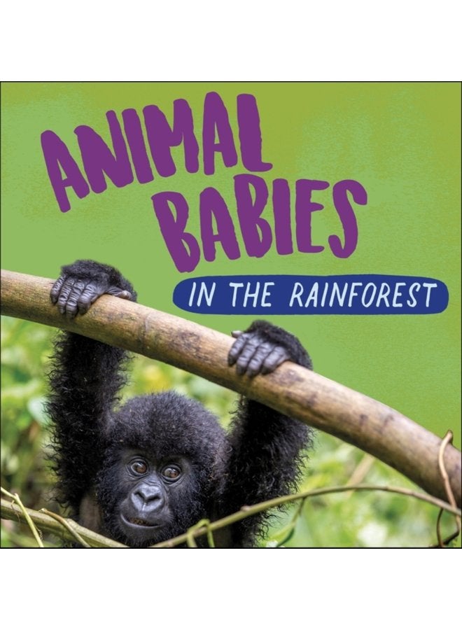 Animal Babies In the Rainforest - Hardback