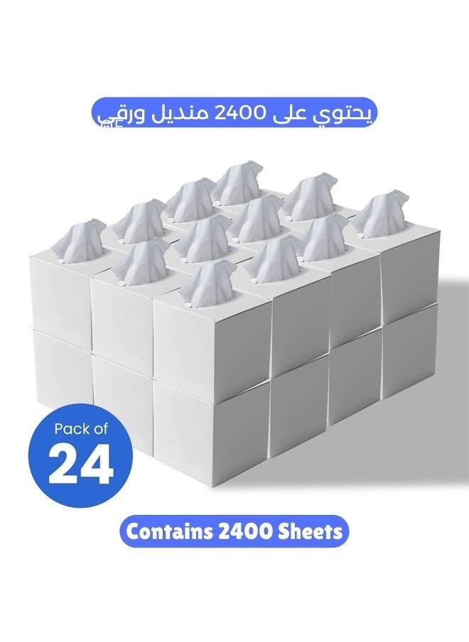 NICE Touch 2 Ply Facial Tissue 2400 Sheets in Cube Boxes - Contains 24 Box of 100 Premium Quality Soft and Absorbent Tissues  - Image 1