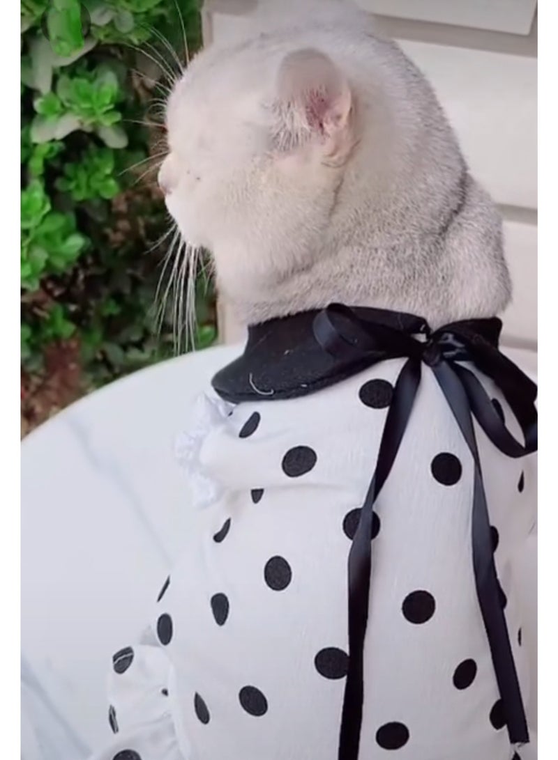 A.M Suitable for Dress Pet Dog Dress Cat Dress Dog Dress Summer Black and Whit - Image 4