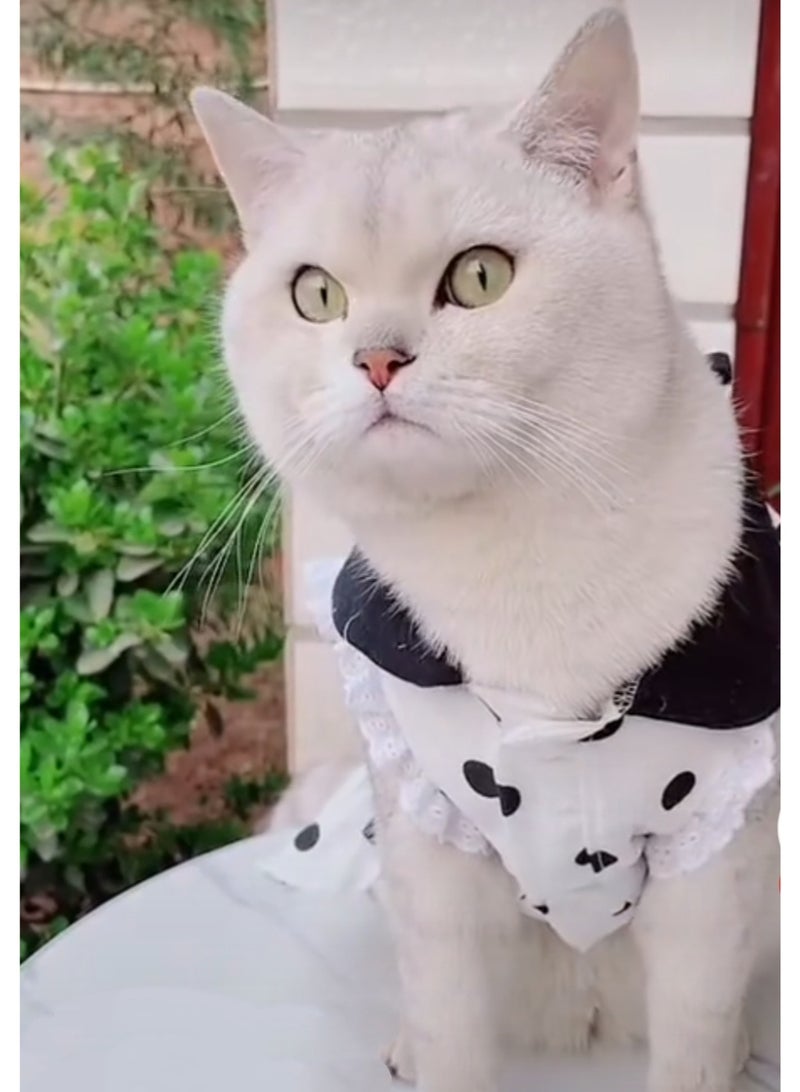 A.M Suitable for Dress Pet Dog Dress Cat Dress Dog Dress Summer Black and Whit - Image 3