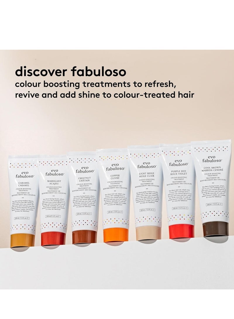 إيفو علاج تعزيز لون النحاس Evo Fabuloso 220 مل - Image 3