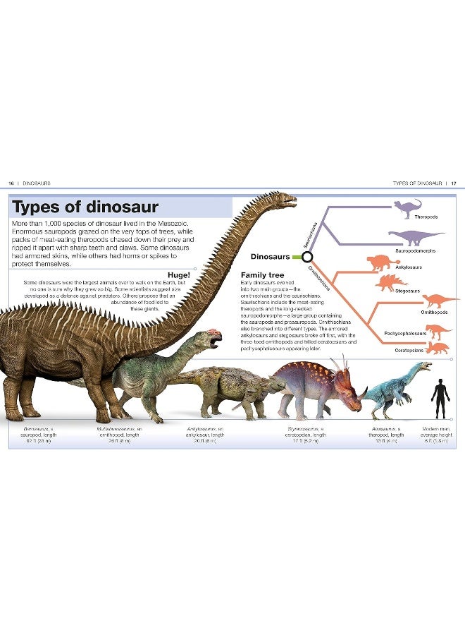 Pocket Genius: Dinosaurs: Facts at Your Fingertips - Image 2
