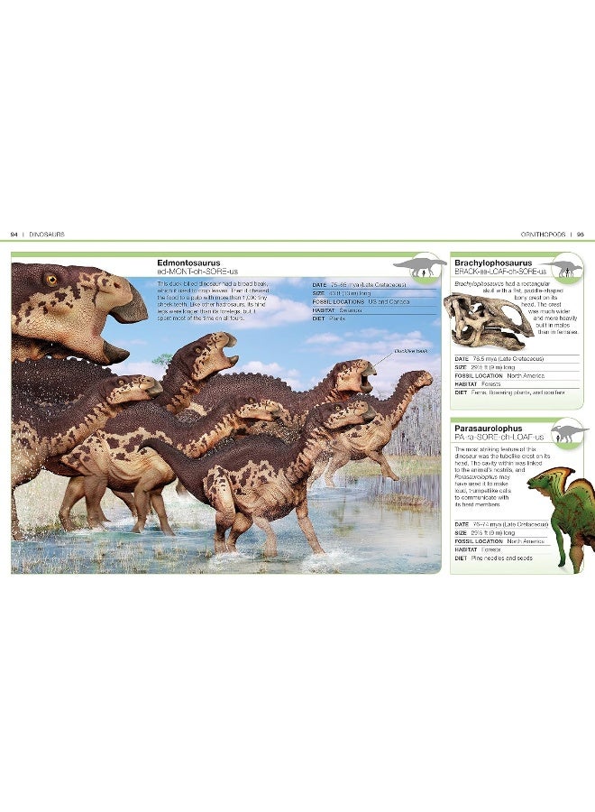 Pocket Genius: Dinosaurs: Facts at Your Fingertips - Image 5
