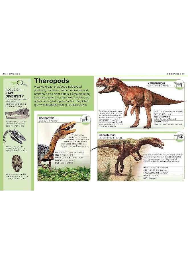Pocket Genius: Dinosaurs: Facts at Your Fingertips - Image 4