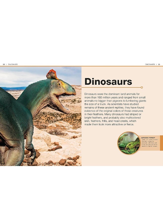 Pocket Genius: Dinosaurs: Facts at Your Fingertips - Image 3