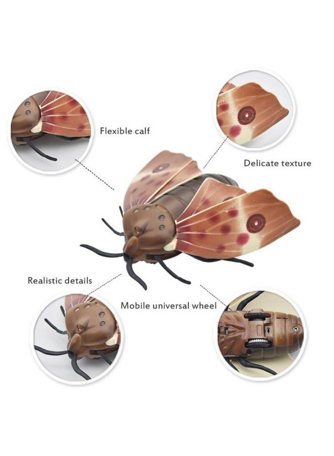 Kiditos Infrared RC Moth Remote Control High Simulation Insects Toy Trick-Playing Kids Toys - Can't Fly - Image 3