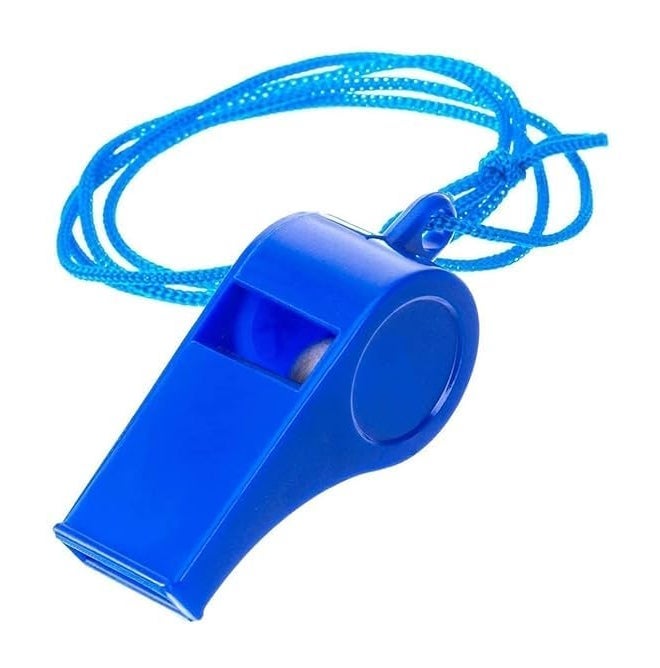 FOLA MOOLYAVAAN RODUCTS Plastic Whistles Colorful Whistles with Lanyard Loud Noise Making Whistle for Kids Soccer Party Favors (24) - Image 2