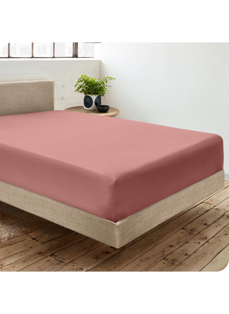 Bare Home Bare Home 100% Organic Cotton King Bottom Sheet - Crisp Percale Weave - Lightweight & Breathable - Deep Pocket Fitted Sheet (King  Dusty Rose)  - Image 2