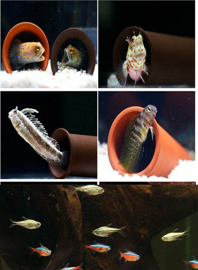 Saim Aquarium Pleco Cave Decorations, 5.3 Inches Spawning Shelter Breeding Hideout Ornament Fish Tank Accessories for Fish Ornament Hideaway - Brown - Image 5