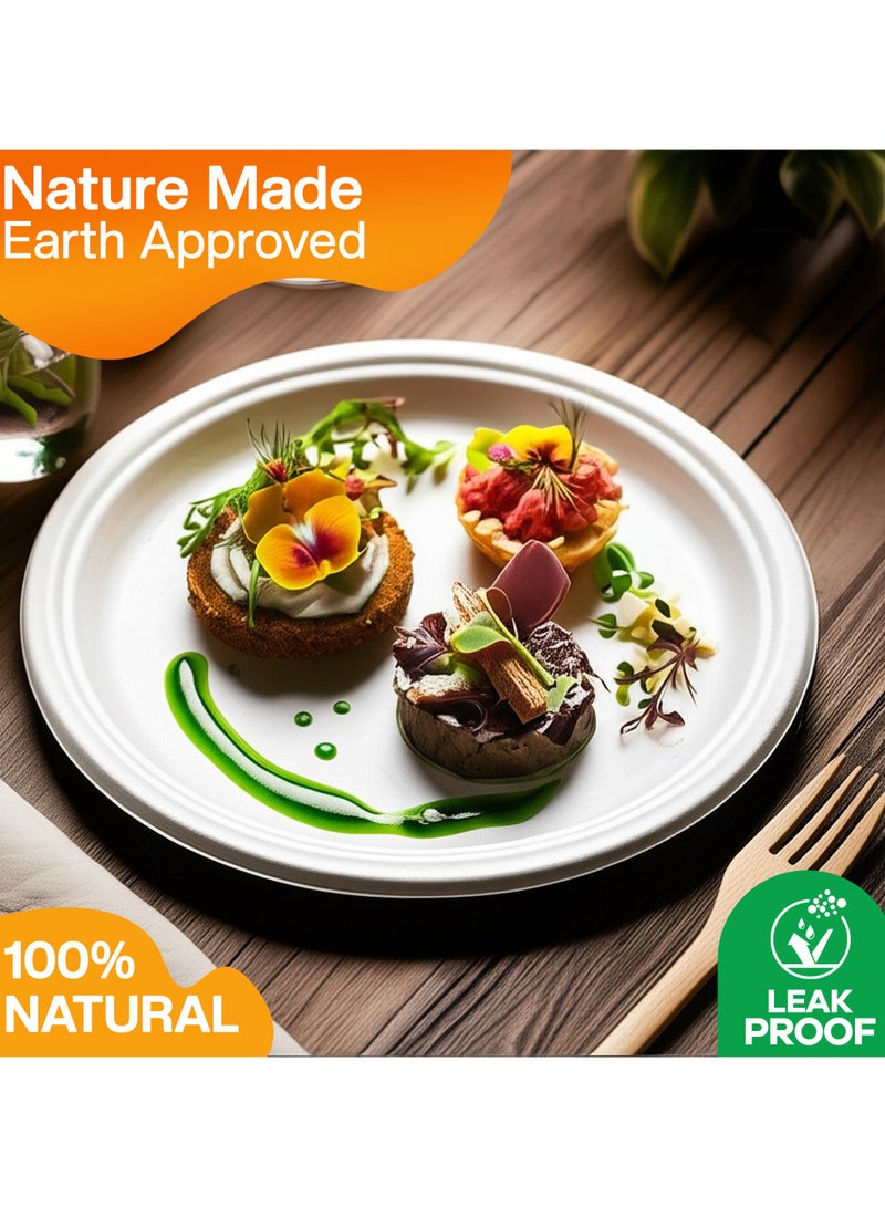 EcoEdge EcoEdge 9 Inch Round White Disposable Sugarcane Pulp Plates (Pack of 10)  | Sustainable, Compostable, Biodegradable, No Toxins | Leak Proof, Hot and Cold Use, For all Occasions | 100% Eco-Friendly  - Image 5