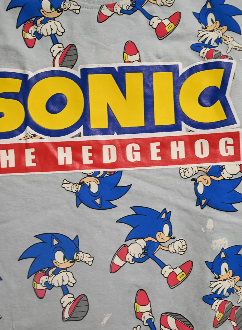 SONIC Sonic the Hedgehog T-Shirt and Pajama Set, Blue,