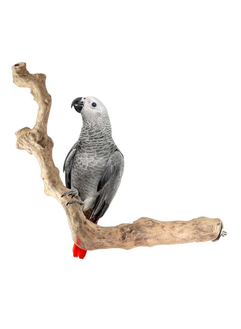 تشوي بييك عصى خشب للطيور كبيرة الحجم مثل ببغاء كاسكو الافريقي و الكوكاتو، مناسب لجميع احجام اقفاص الطيور - Image 1