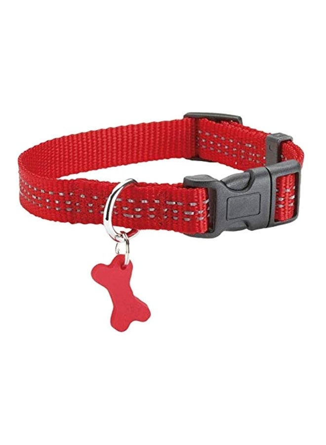 Loquat Dog Collar Red L