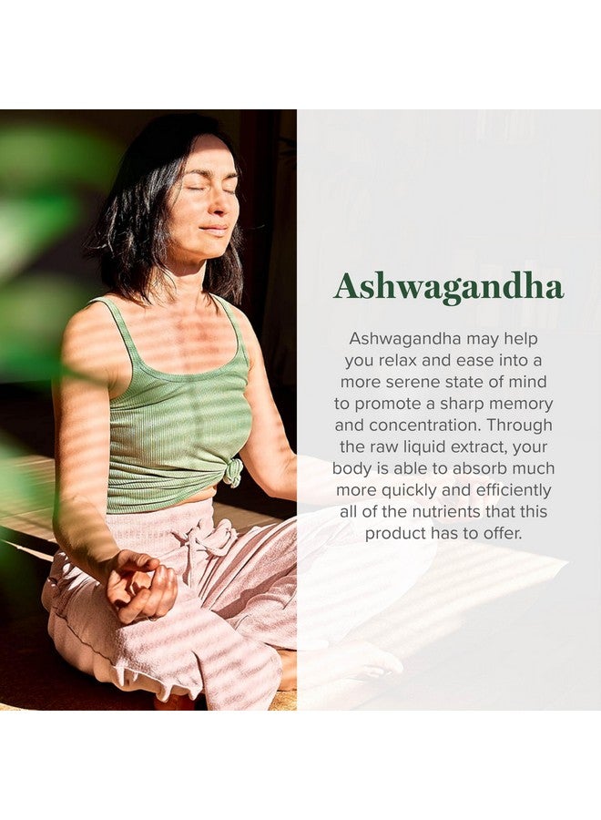 Global Healing Center - Organic Ashwagandha Supplements Drops - KSM-66 Ashwagandha Extra Strength for Men & Women, Helps Promote Relief from Stress, Mood Support, Organic (2 Fl Oz) - Image 4