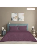 مالبيري ليفينج Plum