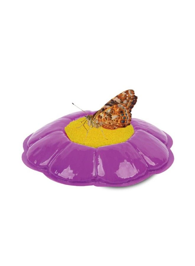 Insect Lore Live Cup Of Caterpillars Deluxe - Image 5