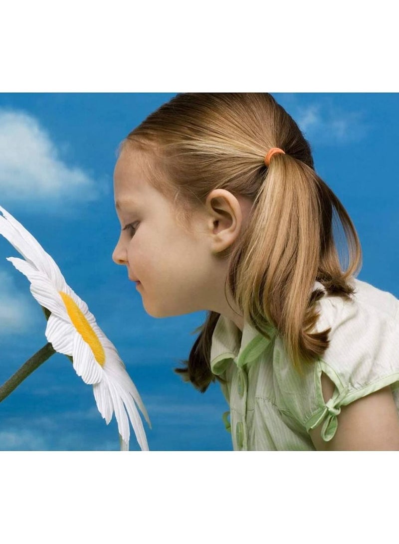 MARGOUN 200Pcs Hair Ties Elastic Hair Bands Ponytail Holder Girls Women Kids Hair Accessories - Image 4