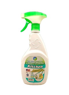 DELTA GREEN D G KITCHEN CLNR & DGRESER 650ML 