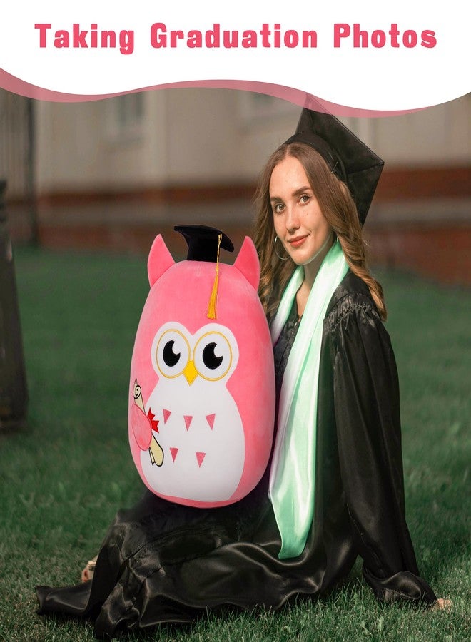 OurHonor Our Honor Plush Soft Owl Stuffed Animal with Pink Body and Ears, Black Graduation Cap, Fringe and Diploma, Cute Pillow Toy Graduation Gift for Her, Kids - Image 4