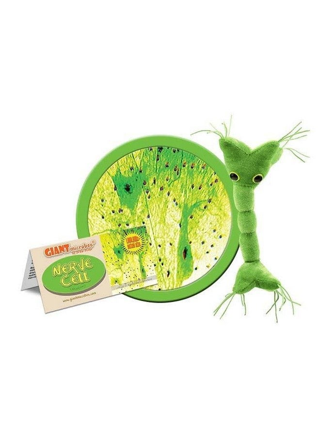 Giant Microbes GIANTmicrobes Nerve Cell Plush, Neuron Plush, Neuroscience Gift, Neurology Gifts, Science Plushies, Neuron Model Anatomy, Psychology Gifts, Psychology Decor, Brain Gift, TBI, MS Awareness - Image 3