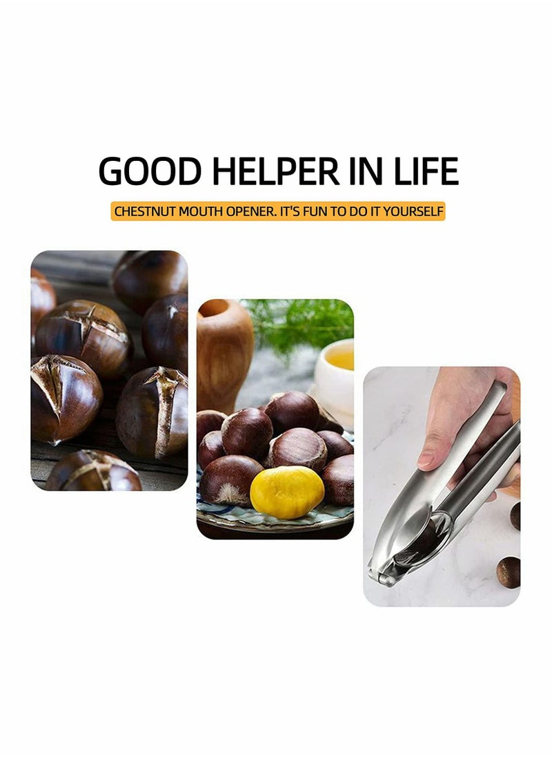 Y&D Stainless Steel Chestnut Cutter, Nut Cracker Sheller Walnut Pliers  - Image 4