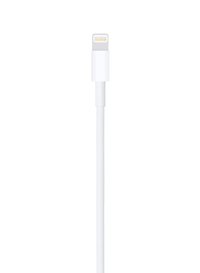 Apple Lightning to USB Charging Cable 1M White - Image 2