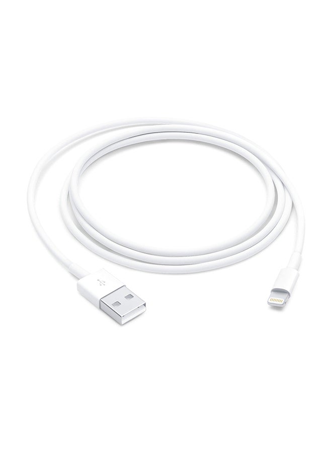 Apple Lightning to USB Charging Cable 1M White - Image 1