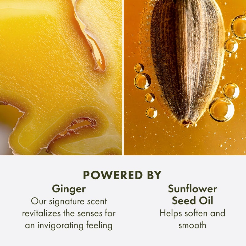 Origins Ginger Hand & Body Lotion for Dry Skin | Hydrates & Softens | With Vitamin E & Aloe Vera, 6.7 Fl Oz - Image 5