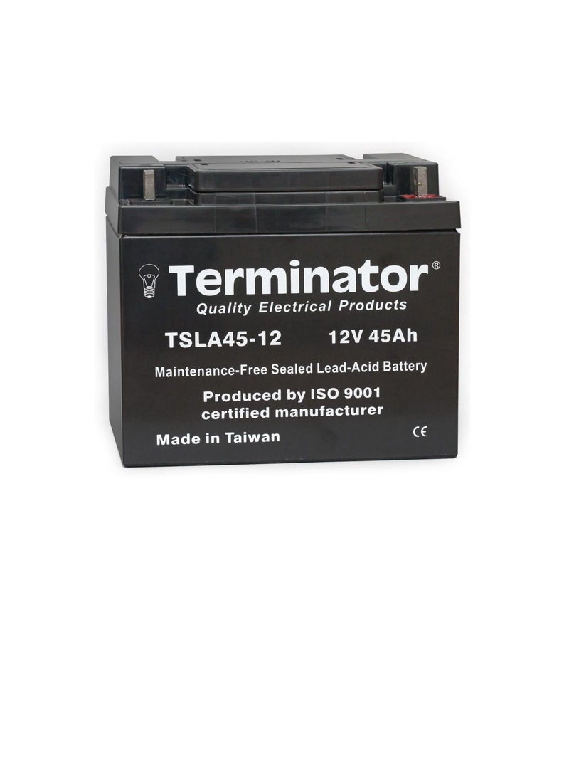 Terminator Terminator Sealed Lead Acid Battery 12V-45Ah TSLA 45-12  - Image 1