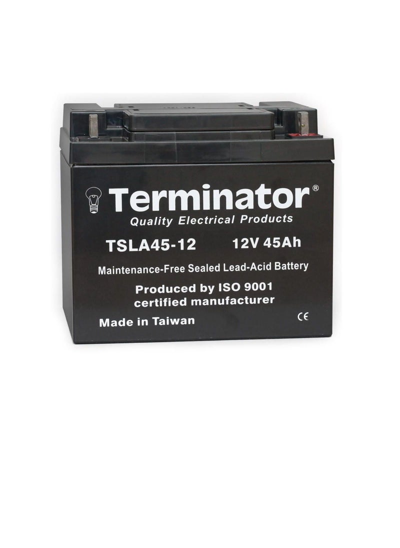 Terminator Terminator Sealed Lead Acid Battery 12V-45Ah TSLA 45-12  - Image 2
