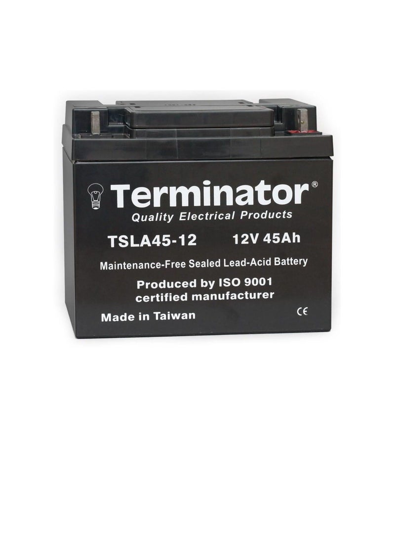 Terminator Terminator Sealed Lead Acid Battery 12V-45Ah TSLA 45-12  - Image 3