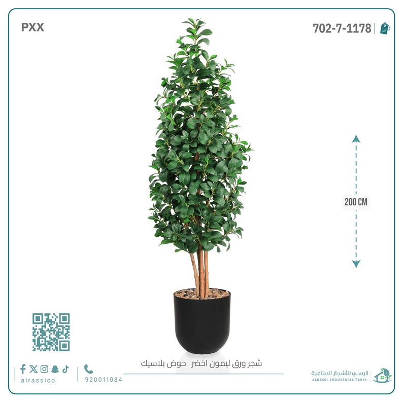 Alrassi Artificial Lemon Leaf Seedling in Cylindrical Plastic Pot 200 cm - Image 4