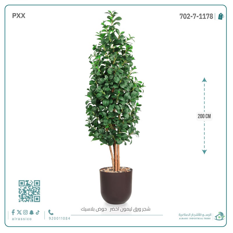 Alrassi Artificial Lemon Leaf Seedling in Cylindrical Plastic Pot 200 cm - Image 3