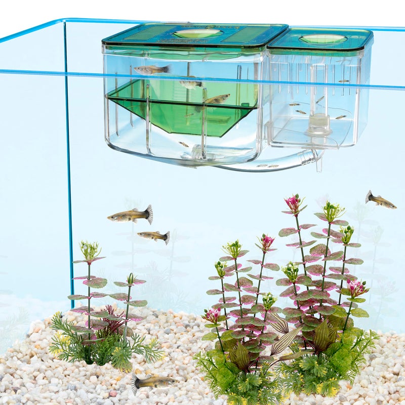 Penn Plax Penn-Plax AN2 Aqua Nursery and Hatchery Breeding Box for Your Aquarium - Help Protect Baby Fish from Predators - Image 3