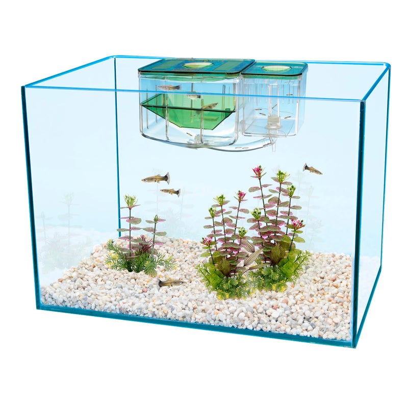 Penn Plax Penn-Plax AN2 Aqua Nursery and Hatchery Breeding Box for Your Aquarium - Help Protect Baby Fish from Predators - Image 2