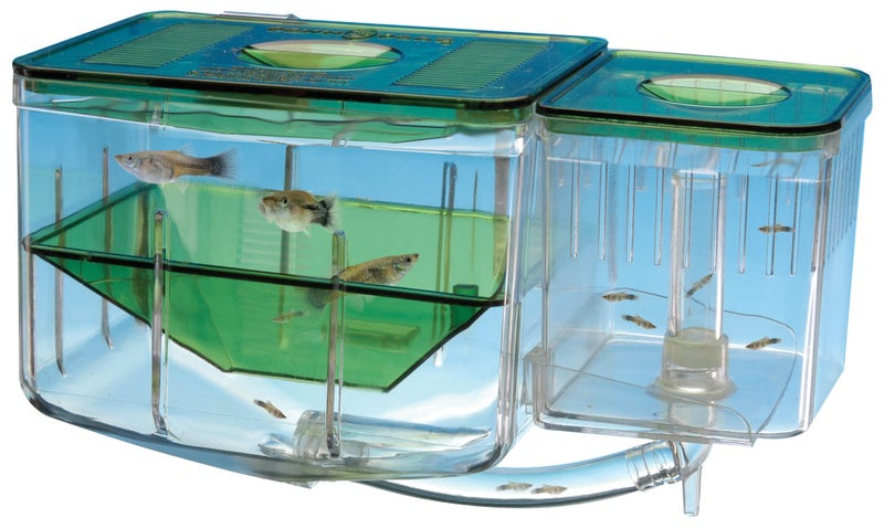 Penn Plax Penn-Plax AN2 Aqua Nursery and Hatchery Breeding Box for Your Aquarium - Help Protect Baby Fish from Predators - Image 1