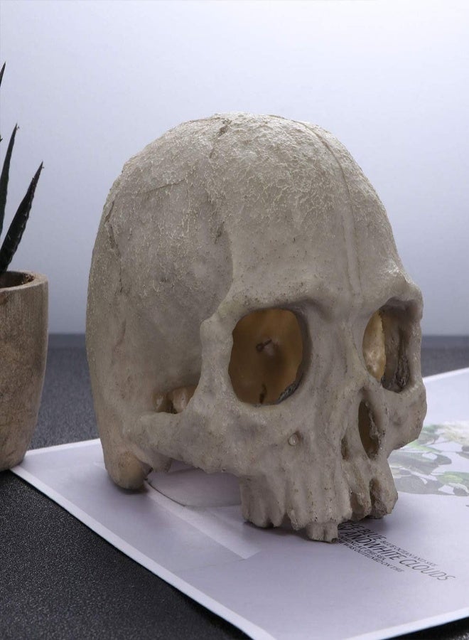 AKDC Popetpop Aquarium Decorations Skull-Fish Tank Decor Skull Reptile House Resin Skull,Halloween Fish Tank Decorations Reptile Hideout Caves - Image 3
