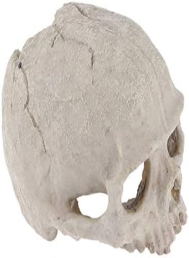 AKDC Popetpop Aquarium Decorations Skull-Fish Tank Decor Skull Reptile House Resin Skull,Halloween Fish Tank Decorations Reptile Hideout Caves - Image 4