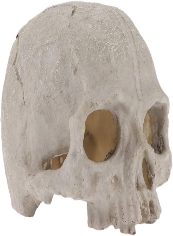 AKDC Popetpop Aquarium Decorations Skull-Fish Tank Decor Skull Reptile House Resin Skull,Halloween Fish Tank Decorations Reptile Hideout Caves - Image 5