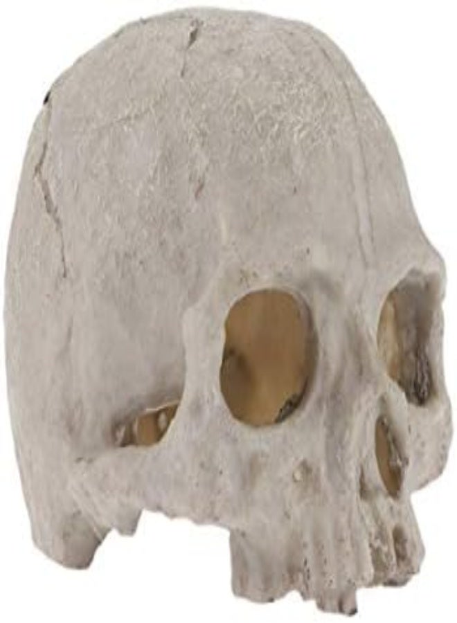 AKDC Popetpop Aquarium Decorations Skull-Fish Tank Decor Skull Reptile House Resin Skull,Halloween Fish Tank Decorations Reptile Hideout Caves - Image 2