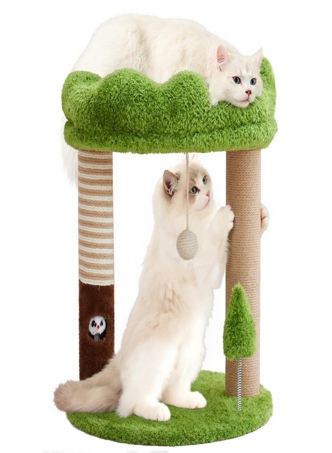 WOOCHPET Small Cat Tree with Perch Cat Bed and Removable Cover 23 inch Tall Cat Tower with 2 Scratching Sisal Scratching Posts and Cat Toys for Kittens and Adult Cats（Green） - Image 1