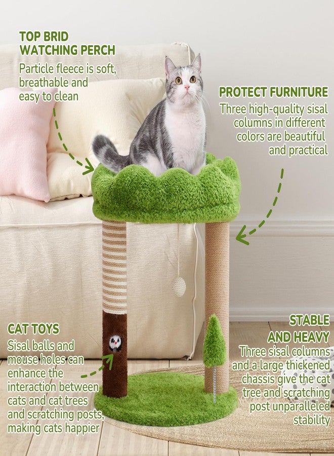 WOOCHPET Small Cat Tree with Perch Cat Bed and Removable Cover 23 inch Tall Cat Tower with 2 Scratching Sisal Scratching Posts and Cat Toys for Kittens and Adult Cats（Green） - Image 5
