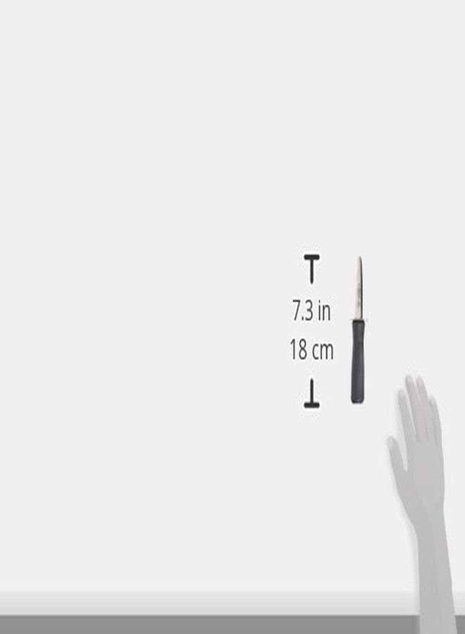 وينكو فتاحة محار وينكو مقاس 6.75 بوصة بشفرة طولها 3 بوصات ومقبض بلاستيكي - Image 4