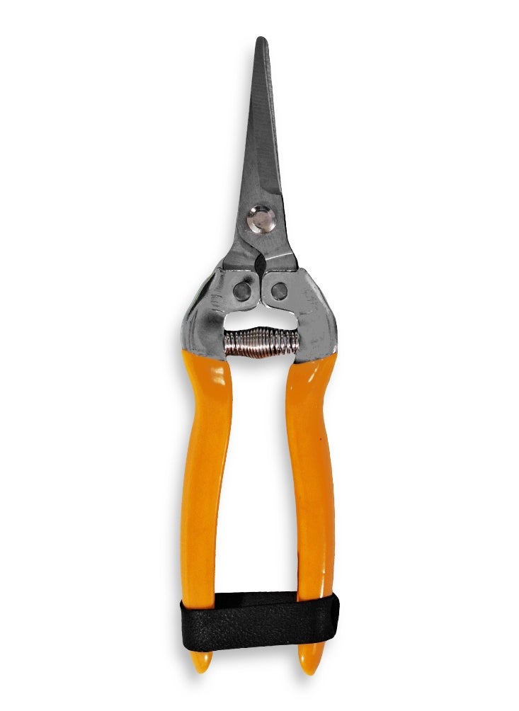 ABC Fruit Scissors 8 inch (200mm) , Precision Sharp Stainless Steel Blades and Comfortable Non-Slip Handle, Safety Lock to Keep Blades Closed, For Removing Small and Excess Branches from Plants, Suitable for Amateurs and Professionals in Agriculture and Gardening  - Image 1