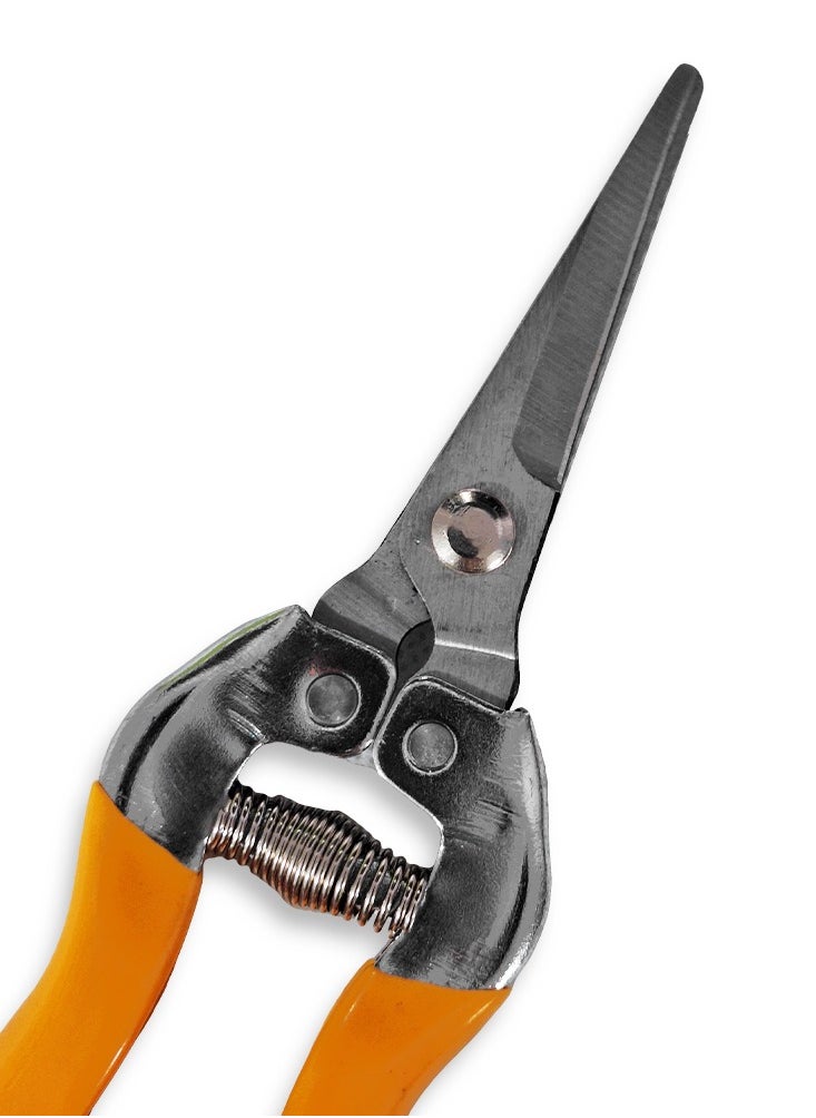 ABC Fruit Scissors 8 inch (200mm) , Precision Sharp Stainless Steel Blades and Comfortable Non-Slip Handle, Safety Lock to Keep Blades Closed, For Removing Small and Excess Branches from Plants, Suitable for Amateurs and Professionals in Agriculture and Gardening  - Image 2