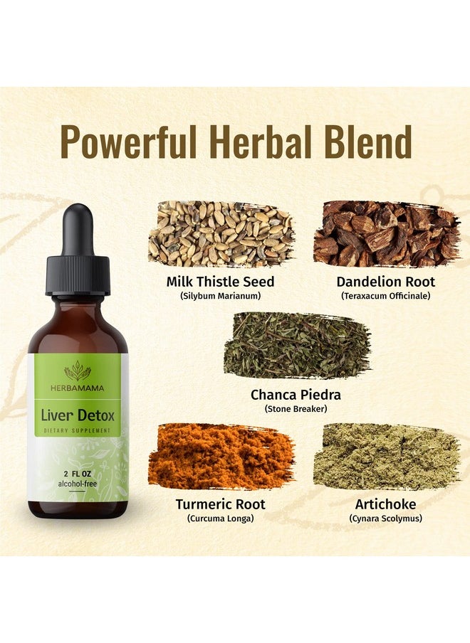 HERBAMAMA - Liver Cleanse & Repair Liquid Drops Formula Herbal Liver Supplement Tincture W/Dandelion Extract & Organic Milk Thistle For Liver Health & Detox 2 Fl. Oz Bottle - Image 1